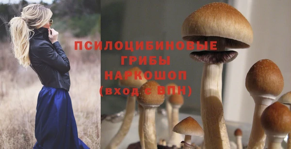 мяу мяу мука Абаза