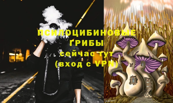 спайс Алзамай