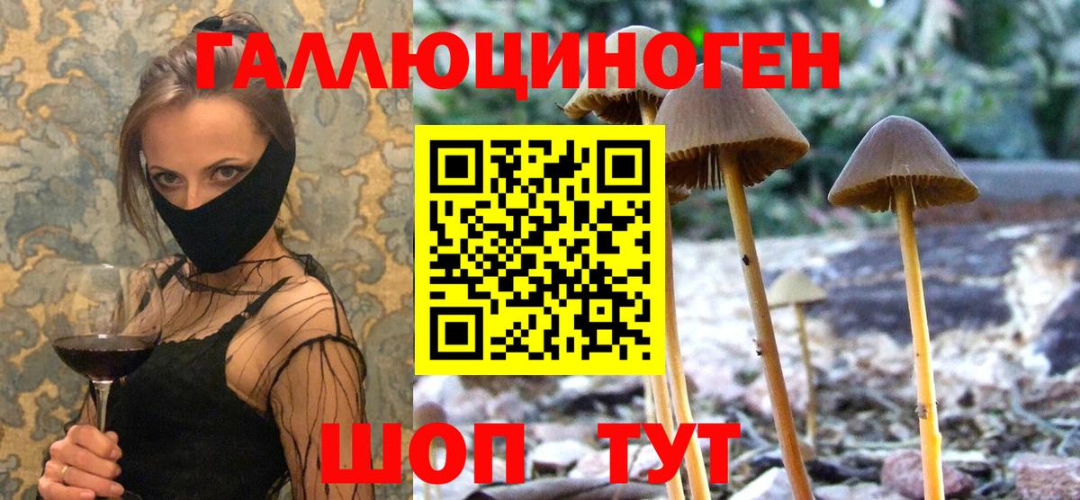 Псилоцибиновые грибы мухоморы Изобильный