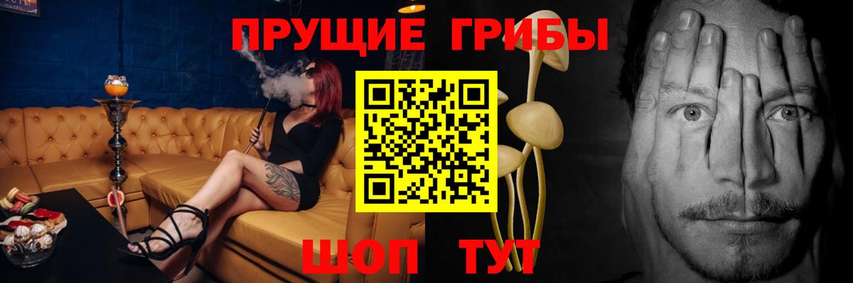 купить  сайты  Вход с VPN  Изобильный  Галлюциногенные грибы Magic Shrooms 